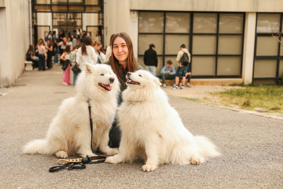 EUVG Cursos nas áreas de Ci~encias Veterinárias